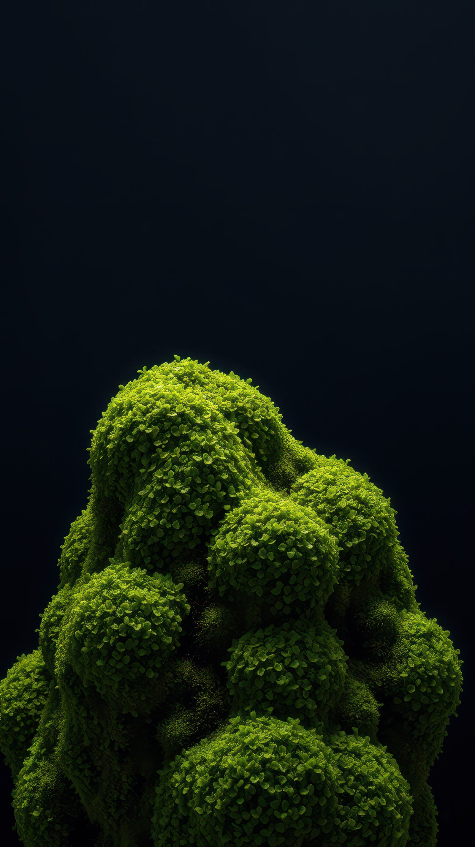 Lush green moss thrives against a dark backdrop, a striking contrast in texture and color